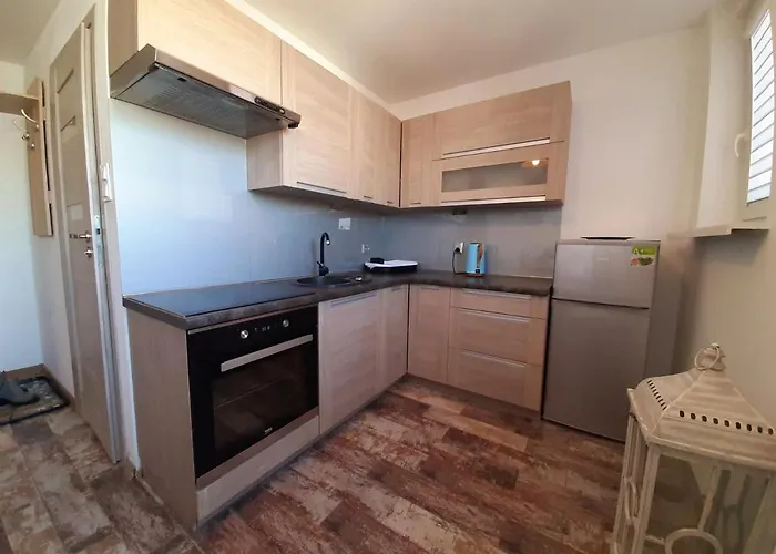 Apartment Apartamet 45 *